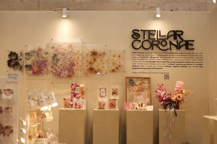 Stan kerajinan bunga kering, Stellar Coronae