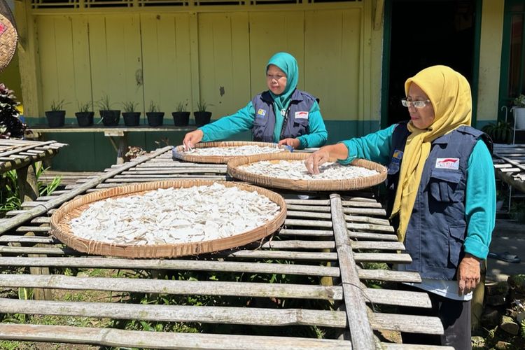 Lilik Sri Rahayu (61) bersama warga sekitar menjemur potongan singkong untuk diolah menjadi tepung mocaf di rumahnya di Kampung Kawista, Adiwarno, Selomerto, Wonosobo, Jawa Tengah (8/5/2024). Lilik merupakan salah satu pelaku UMKM yang mengolah tepung mocaf menjadi tiwul instan.