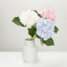 Cara Memotong dan Membuat Bunga Hortensia Awet di Dalam Vas