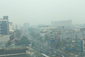 Wamen LH Minta Maaf, Akui Kabut Asap Karhutla Ganggu Warga Palembang