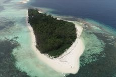 Pulau Malamber, Tempat Konservasi Penyu yang Diduga Dijual Rp 2 Miliar