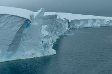 Gletser Kiamat di Antartika Mencair Lebih Cepat, Apa Kata Ilmuwan?