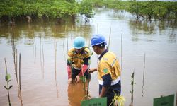 Lestarikan Lingkungan di Wilayah Operasi, Antam Rehabilitasi DAS Poleang