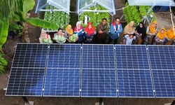Pertamina Dorong Energi Bersih dan Ketahanan Pangan Lewat Hidroponik Bertenaga Surya di Dumai