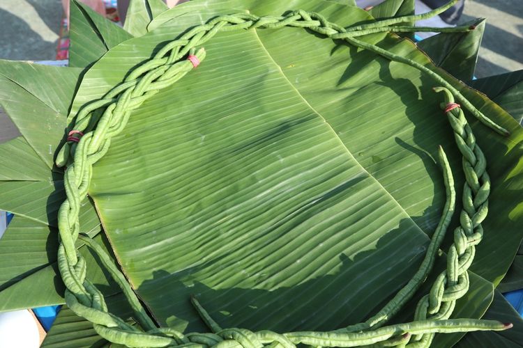 Ilustrasi daun pisang untuk hiasan tumpeng.