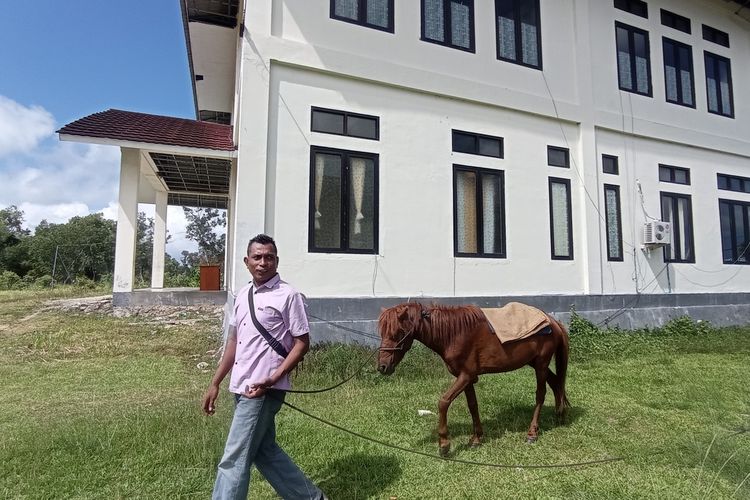 Sefanya Sairiltiata, dosen Program Studi di Luar Kampus Utama (PSDKU) Universitas Pattimura Kabupaten Maluku Barat Daya, ke kampus tunggangi kuda lantaran BBM langka lebih dari sepekan