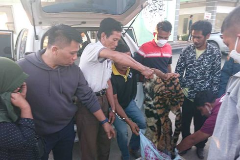 Terjadi Lagi, 4 Penjual Kulit Harimau Sumatera Ditangkap di Riau