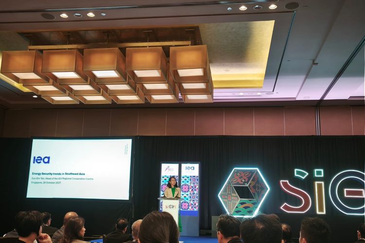 Kepala Regional Cooperation Centre International Energy Agency (IEA), Sue-Ern Tan