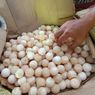 846 Telur Penyu Sisik Disita di Kotawaringin Barat, Dijual di Facebook