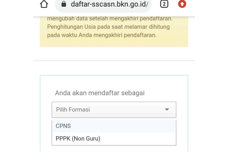 Tangkapan layar unggahan soal pilihan formasi PPPK Guru yang tidak tersedia di laman SSCASN.