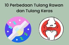 10 Perbedaan Tulang Rawan dan Tulang Keras