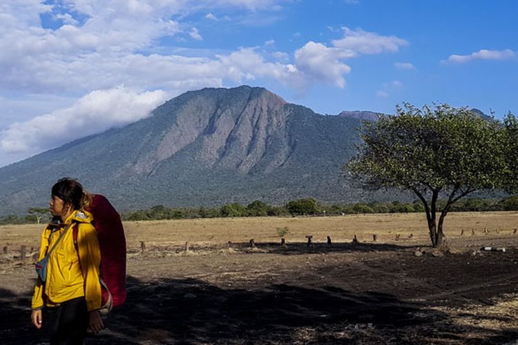 Taman Nasional Baluran (TNB) di perbatasan Banyuwangi-Situbondo, Jawa Timur.