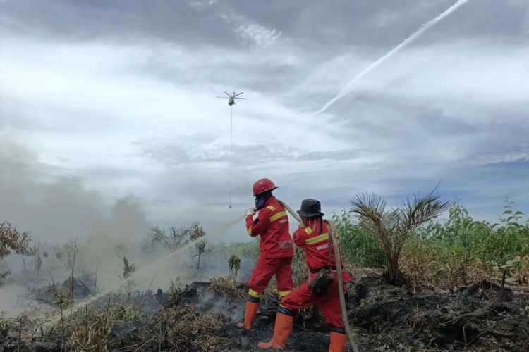 Karhutla 108 Hektare di Bengkalis Riau, Pemadaman Dibagi Dua Sektor