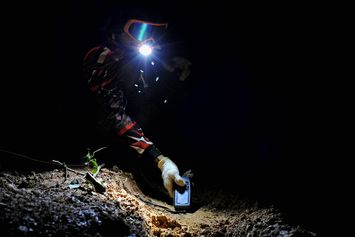 Monitoring Gajah Sumatera di Hutan Harapan