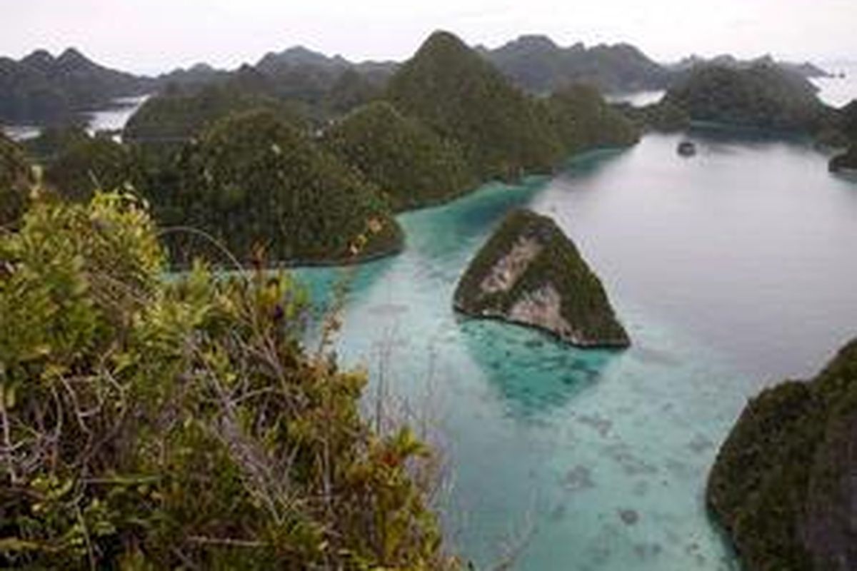 Pulau Karang di kawasan Wayag, Kabupaten Raja Ampat, Papua Barat