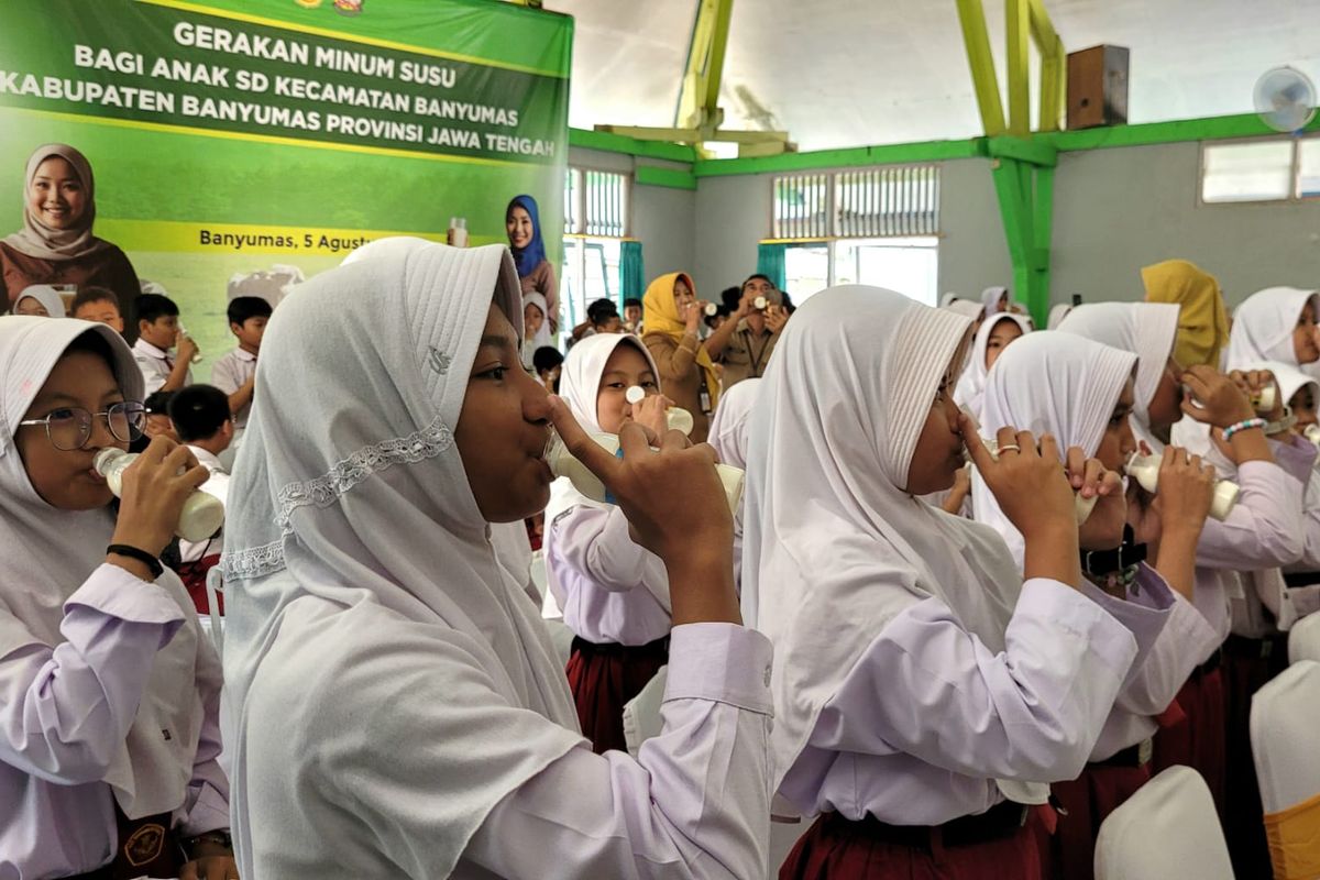Gerakan minum susu di SD Negeri Sudagaran 1, Kecamatan Banyumas, Kabupaten Banyumas, Jawa Tengah, Senin (5/8/2024). Tim pakar BGN mengatakan bahwa susu yang akan diberikan kepada anak-anak untuk program MBG berbeda antara PAUD-SD dan SMP-SMA.