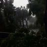 Hujan Deras, 16 Pohon Tumbang di Wilayah Kelurahan Gunung