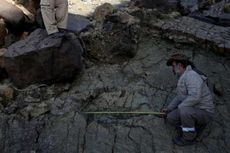 Tanpa Sengaja, Pemandu Wisata Temukan Jejak Kaki Dinosaurus Terbesar