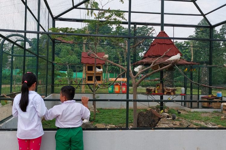 Berbagai jenis hewan kini meramaikan Taman Jalur Hijau Duri Kosambi, Jakarta Barat. Mulai dari kelinci, soang, ayam, hingga burung. 