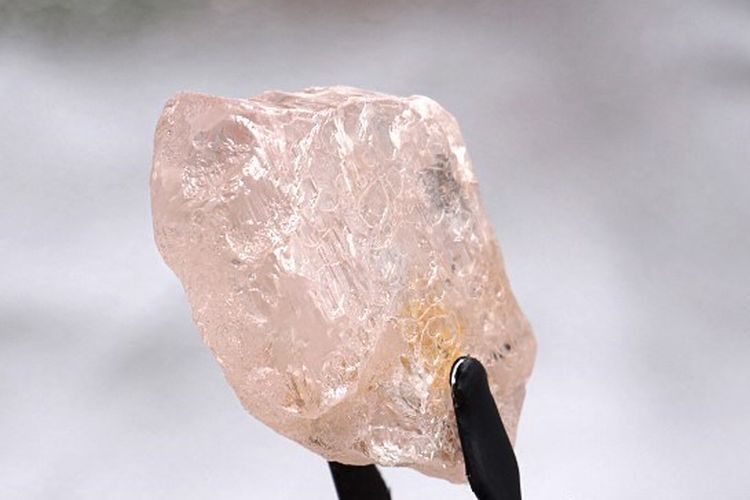 Gambar tak bertanggal yang dirilis oleh Lucapa Diamond Company Limited pada 27 Juli 2022 menunjukkan berlian merah muda 170 karat -- dijuluki The Lulo Rose -- yang ditemukan di tambang Lulo di wilayah timur laut Angola yang kaya berlian. 
