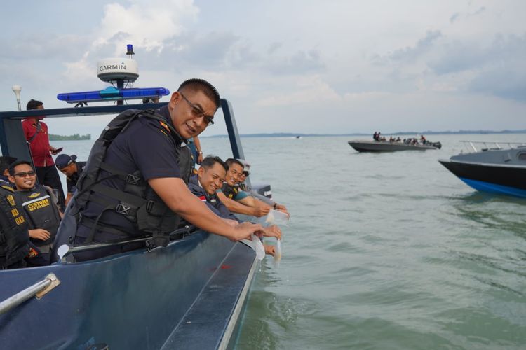 Satuan patroli Bea Cukai (BC) Kepulauan Riau (Kepri) menggagalkan penyelundupan benih lobster senilai Rp 19 miliar yang hendak dikirimkan ke Malaysia, Selasa (24/10/2023) dini hari kemarin.