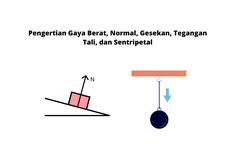 Pengertian Gaya Berat, Normal, Gesekan, Tegangan Tali, dan Sentripetal