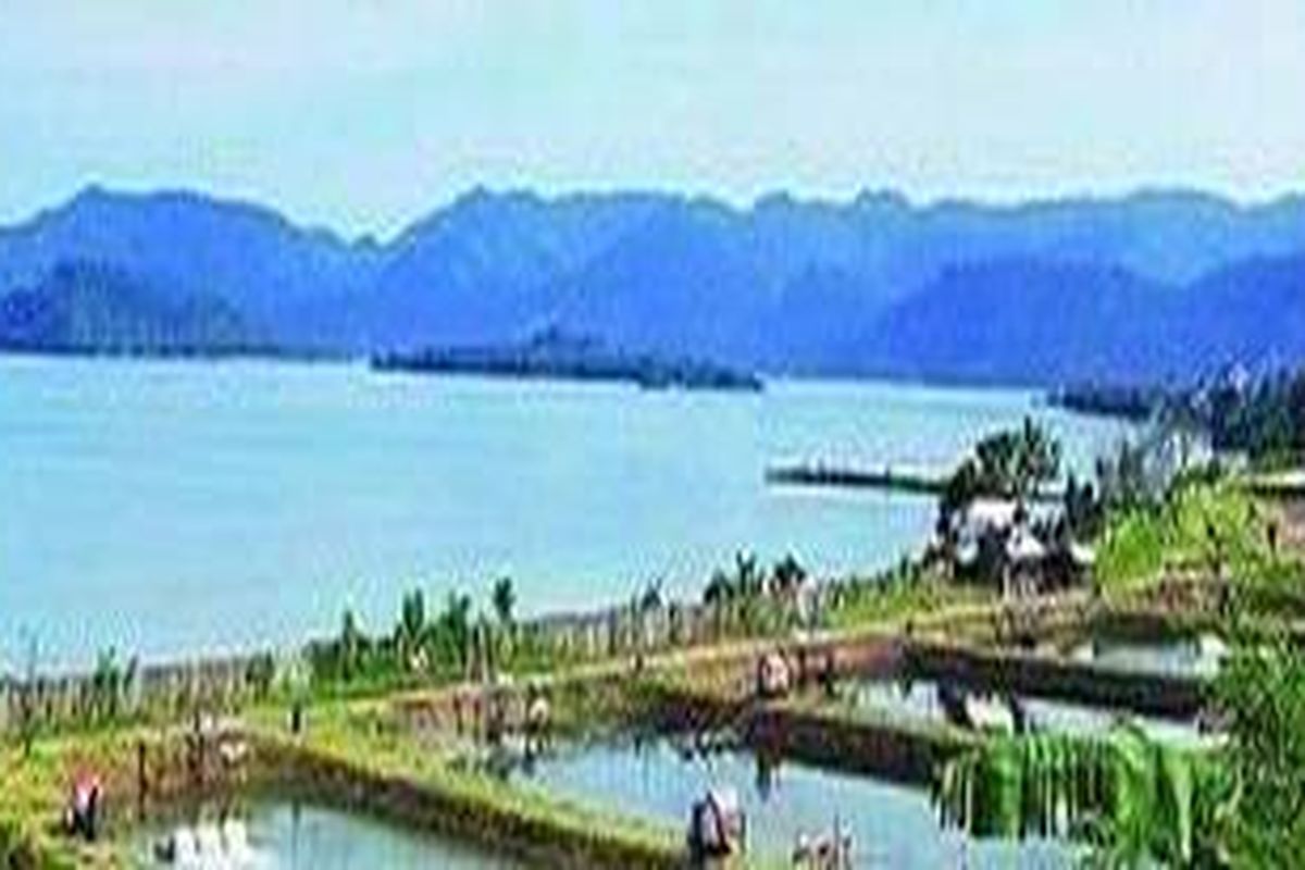 Kawasan pesisir di Punduh Pedada, Kabupaten Pesawaran, Provinsi Lampung, beberapa waktu lalu, dipenuhi tambak skala intensif. Alih fungsi hutan mangrove menjadi tambak di kabupaten pemekaran baru ini berlangsung masif.