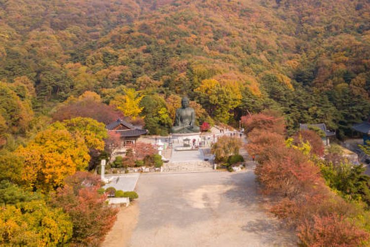 Aerial view autumn of nationnal park,South Korea