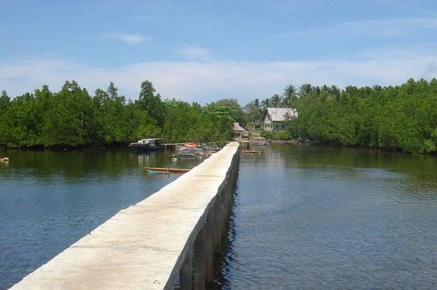 TN Bunaken Siapkan Wisata Bakau di Pulau Mantehage