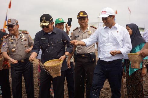 Mentan: Garap 200 Ribu Hektar Lahan Rawa, Penghasilan Sumsel Naik Rp 14 Triliun