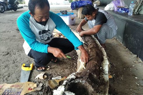 Fosil Gading Gajah hingga Tanduk Banteng Purba Ditemukan di Hutan Nganjuk, Diekskavasi Tim Sangiran