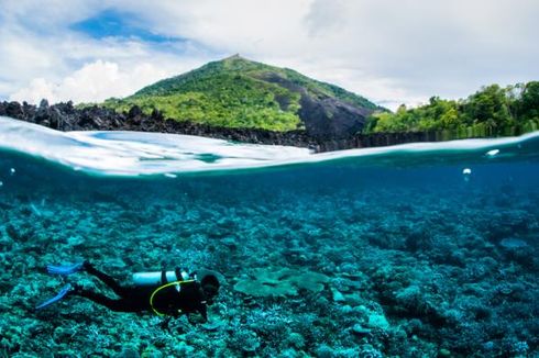 Indonesia, Destinasi Selam Terbaik di Dunia