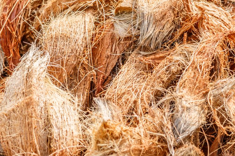 Ilustrasi sabut kelapa. Sabut kelapa dapat dimanfaatkan untuk membuat pupuk organik. 