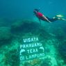 Pulau Pahawang di Lampung, Punya Pesona Bawah Laut yang Menawan