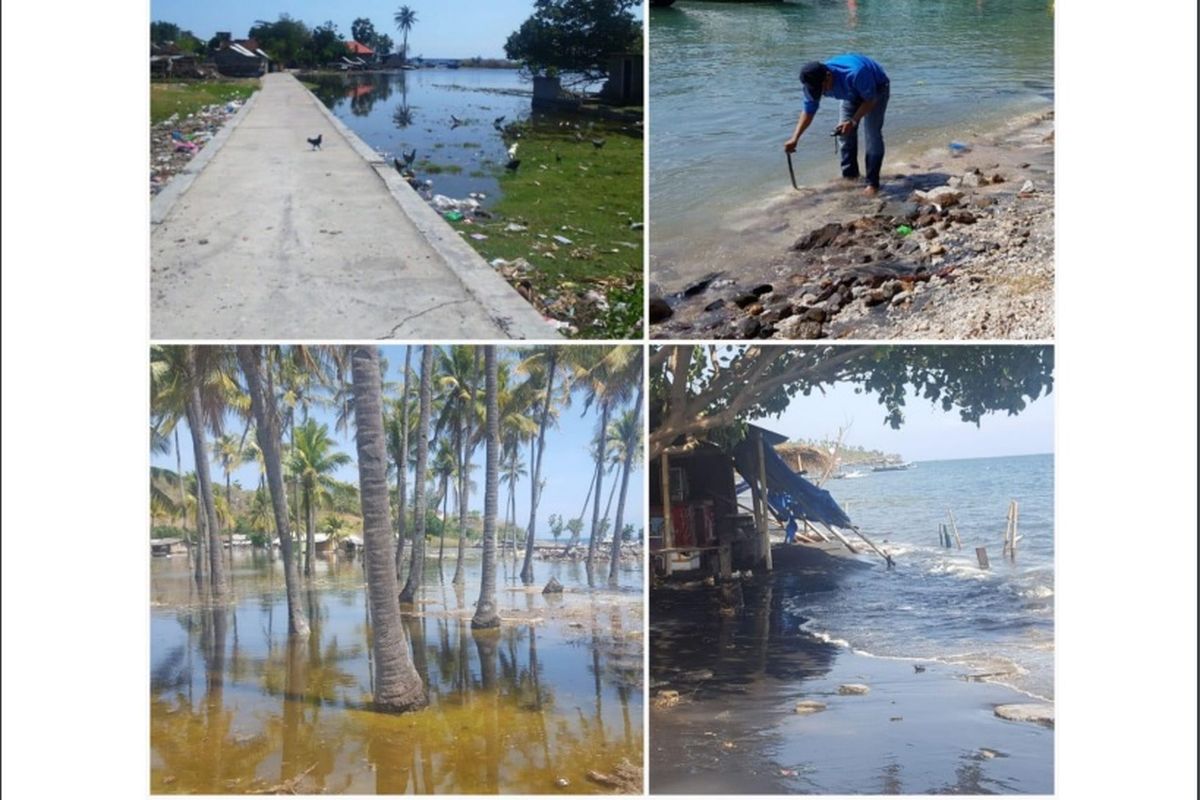 Kondisi Teluk Nara, Lombok saat tim dari LIPI/PuSGeN, PBBT, IATsI melakukan survei