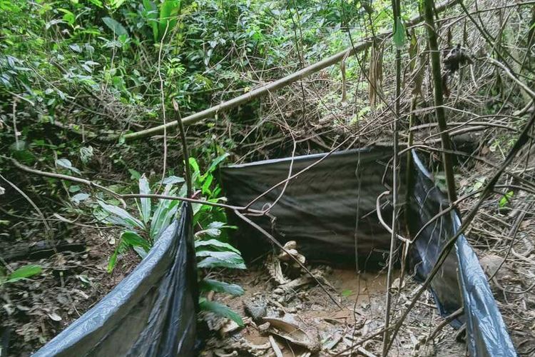 kerangka gajah ditemukan di kawasan Hutan Produksi (HP) Air Rami, Kecamatan Air Rami, Kabupaten Mukomuko, Provinsi Bengkulu, Selasa (13/9/2022).