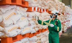 Kementan Keluarkan Kebijakan Pembatasan Pupuk Subsidi, Pengamat Beri Respons Positif