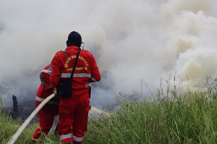 Tim Manggala Agni Daops Rengat yang bertemu dengan ular kobra saat melakukan pemadaman karhutla di Desa Kemang, Kecamatan Pangkalan Kuras, Kabupaten Pelalawan, Riau, pada akhir bulan Agustus 2019 lalu.