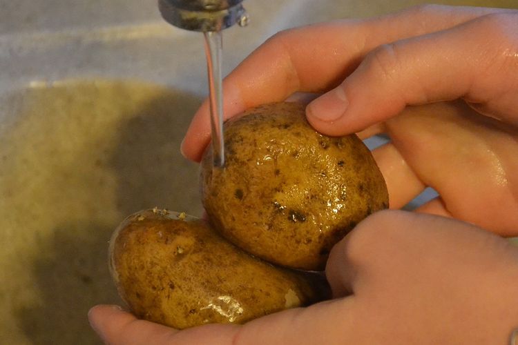 Ilustrasi mencuci sayuran kentang