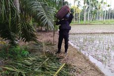 Petani di Aceh Utara Temukan Pelontar Bom, Diduga Masih Aktif