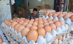 Update Harga Pangan Hari Ini di Jakarta: Telur Naik, Daging Ayam Turun