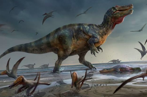 Dinosaurus Pemakan Daging Terbesar di Eropa Ditemukan di Inggris