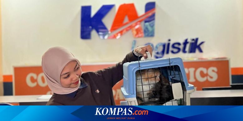 KAI Logistik Kirim 89.000 Lebih Hewan Peliharaan hingga Juli 2025, Didominasi Kucing