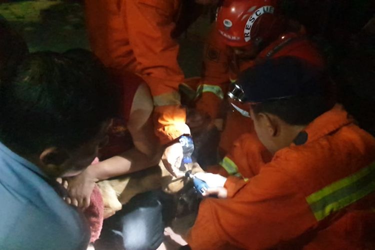 Petugas Suku Dinas Penanggulangan Kebakaran dan Penyelamatan (Sudin PKP) Jakarta Timur saat mengevakuasi seekor anjing yang kakinya terlilit rantai di Jalan Rawamangun Muka Barat, Pulogadung, Jakarta Timur, Senin (14/10/2019).