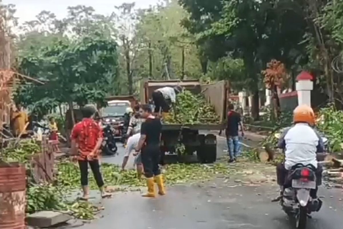 Cuaca Ekstrem di Gowa, Pohon Tumbang dan Pagar Rumah Jabatan Bupati Rubuh