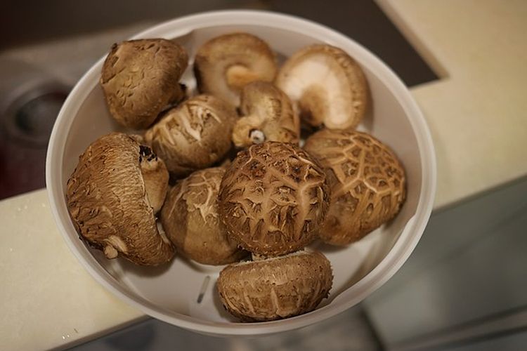 Jamur Shiitake