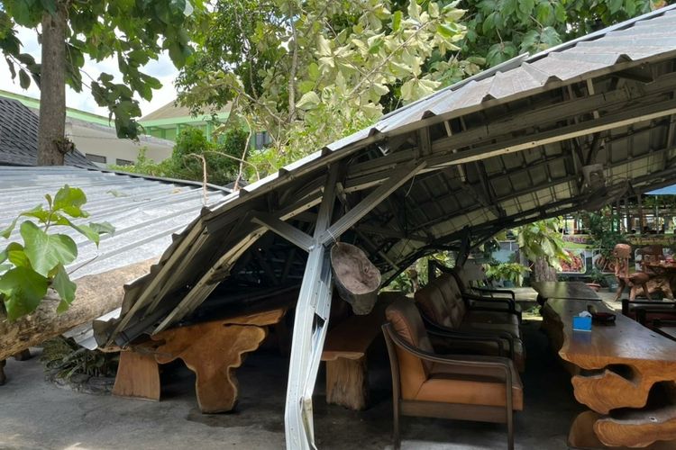 Sebatang pohon jati roboh menimpa atap kafe akibat diterjang angin kencang di Kota Ngawi, Kabupaten Ngawi, Jawa Timur, Rabu (5/2/2025).