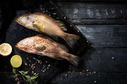 3 Cara Mudah Membersihkan Ikan Kerapu, dari Hilangkan Lendir sampai Cabut Duri