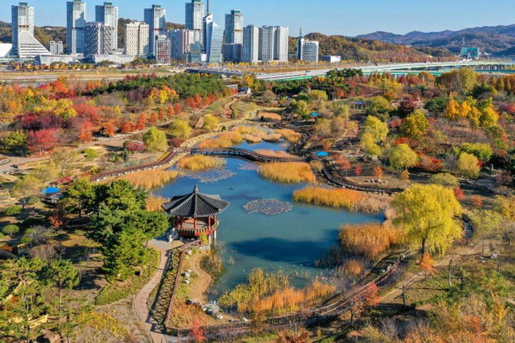 Hanbat Arboretum, salah satu arboretum terbesar di Korea Selatan. Arboretum ini menjadi salah satu destinasi wisata glocal di Daejeon. 