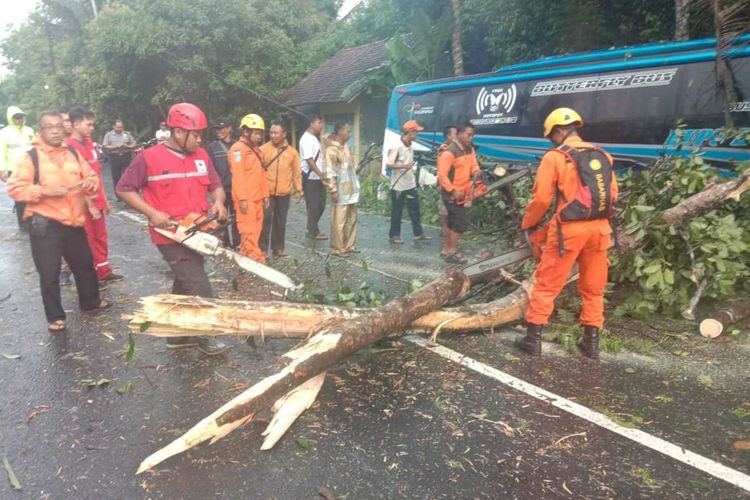 Bus pariwisata membawa rombongan wisatawan menabrak pohon di Jalan Daendels, Jogoboyo, Purworejo, Jawa Tengah. Jogoboyo berbatasan dengan Kecamatan Temon di Kulon Progo, DI Yogyakarta. Korban dilarikan ke RSUD Wates, Kulon Progo.
